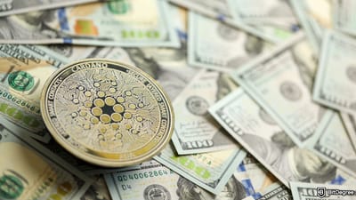 Hướng dẫn mua Cardano coin và có ví ADA