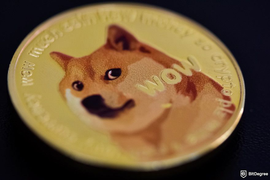 How to buy Hosky: a gold DOGE coin.