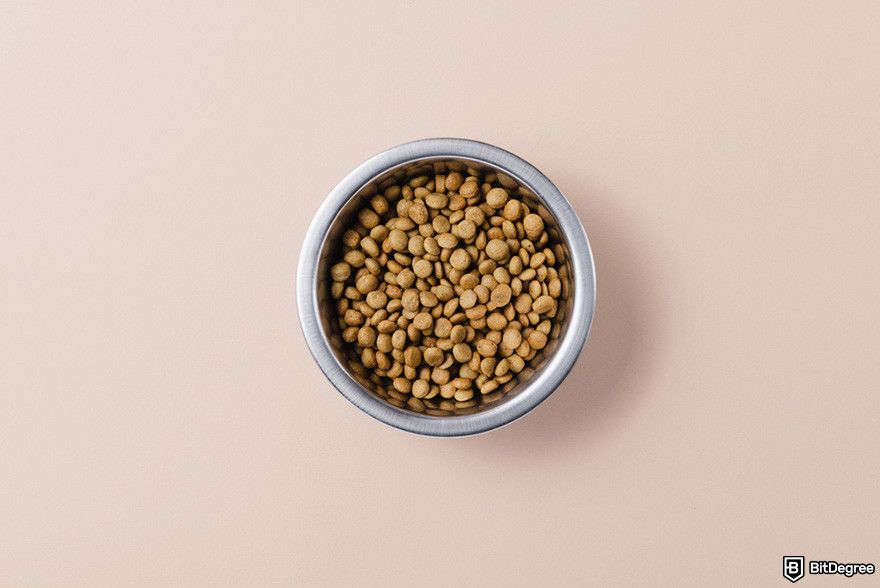 How to buy Hosky: dry dog food in bowl on neutral background.