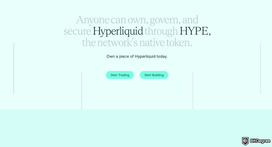 How to buy Hyperliquid: a screenshot of the $HYPE token description.