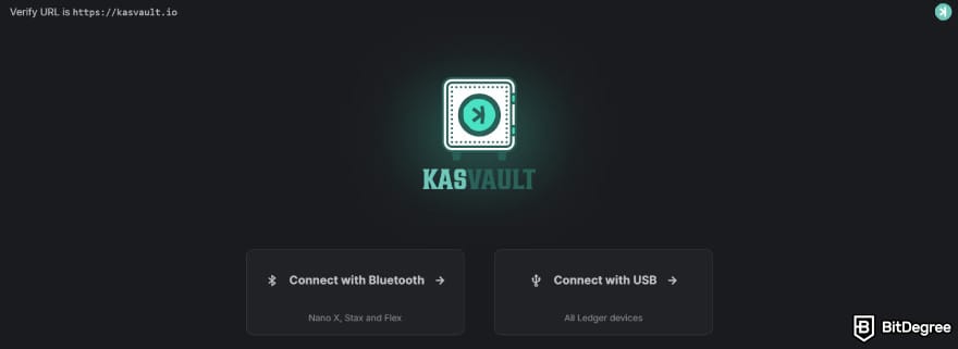 How to buy Kaspa coins: the KasVault's website.