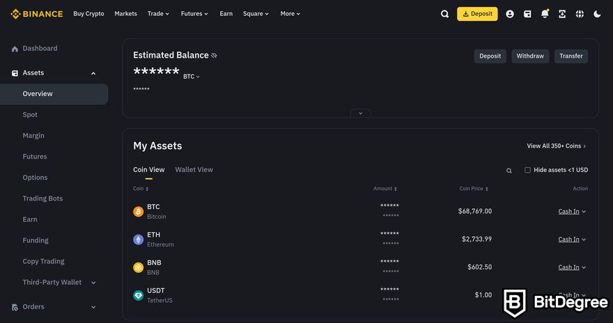 How to buy meme coins: a preview the Binance account dashboard.