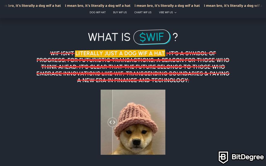 How to buy meme coins: a preview of dogwifhat homepage.