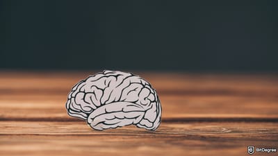 How to Buy MIND of Pepe: Your Complete Guide