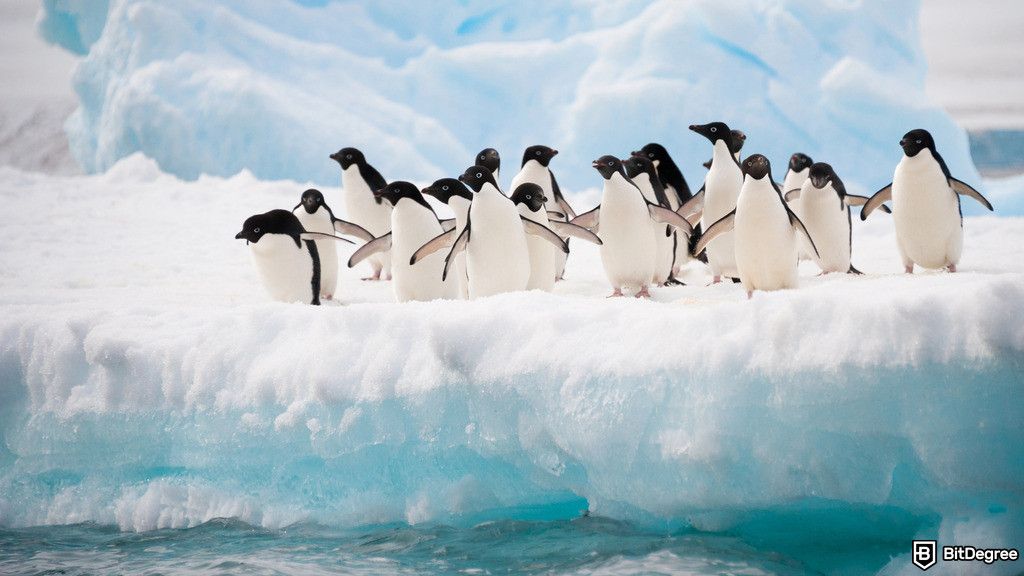 How to Buy PENGU: Your Go-To Guide
