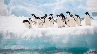 How to Buy PENGU: Your Go-To Guide