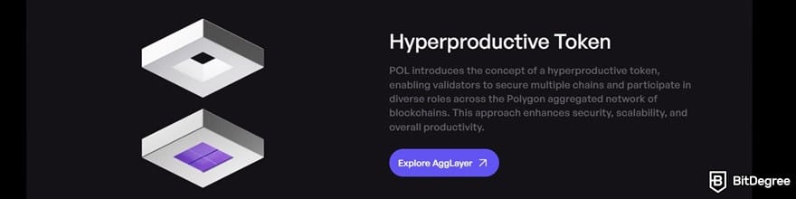 How to buy Polygon crypto: the explanation of a hyperproductive token in Polygon's website.