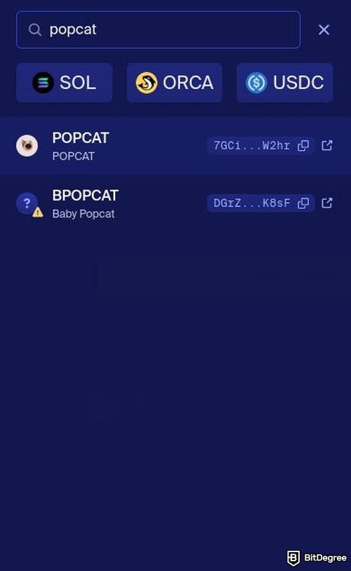 How to buy Popcat: Orca's search box with Popcat in the list.