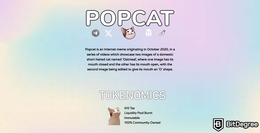 How to buy Popcat: a preview of Popcat about page.