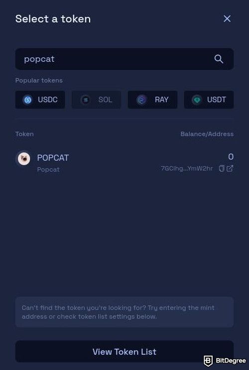 How to buy Popcat: Raydium's Select your token pop-up window with Popcat in the search list.