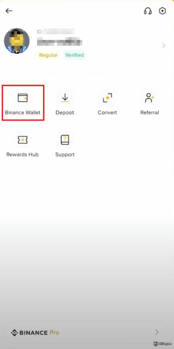 How to buy RXS coin: Binance app highlighting the [Binance Wallet] option.