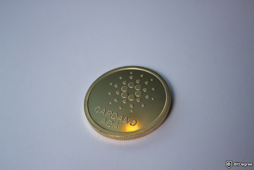 How to buy Snek: a gold Cardano coin.