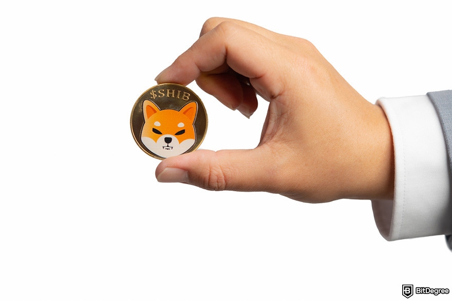 How to buy Snek: a hand holding a golden SHIB coin.