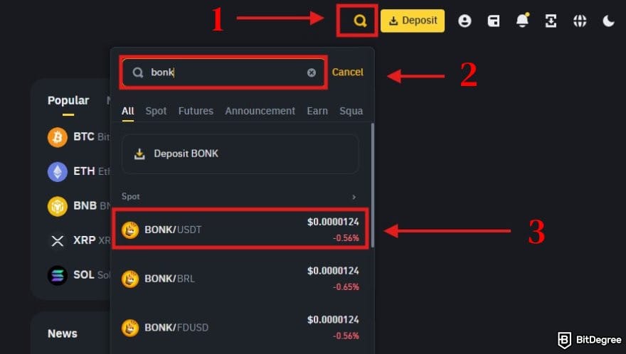 How to buy Solana meme coins: a portion of Binance homepage showing the search results for BONK.
