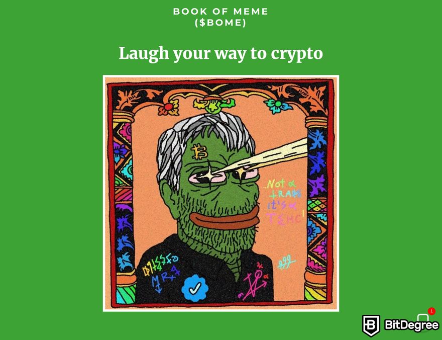 How to buy Solana meme coins: a preview of Book of Meme homepage.