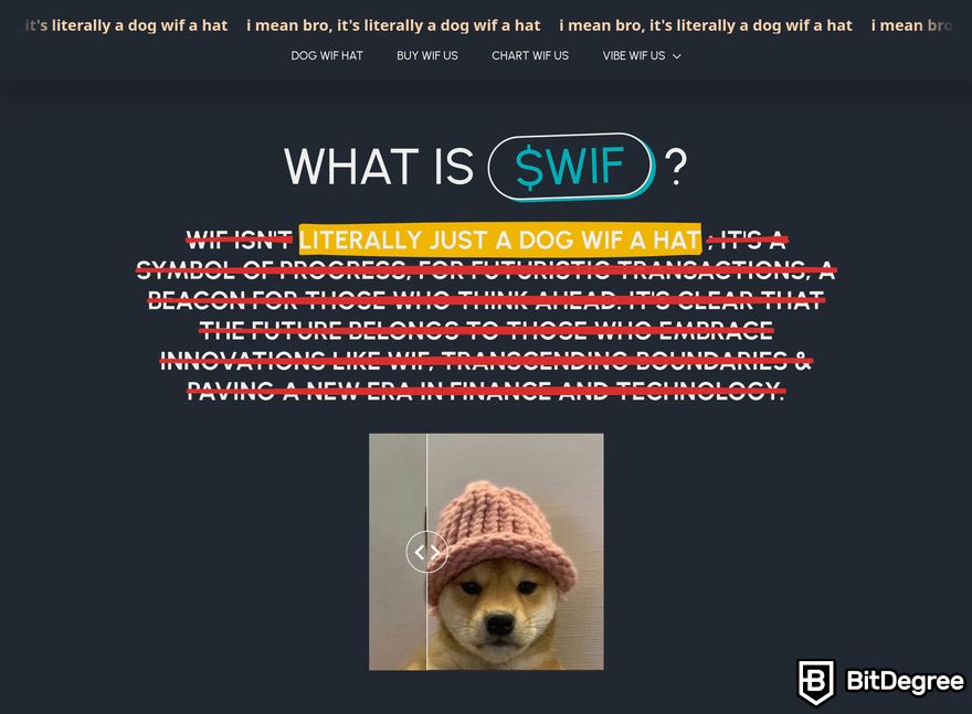 How to buy Solana meme coins: a preview of dogwifhat homepage.