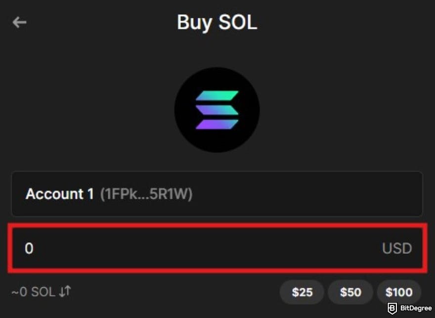 How to buy Solana meme coins: the Buy SOL page on Phantom wallet highlighting the amount box.
