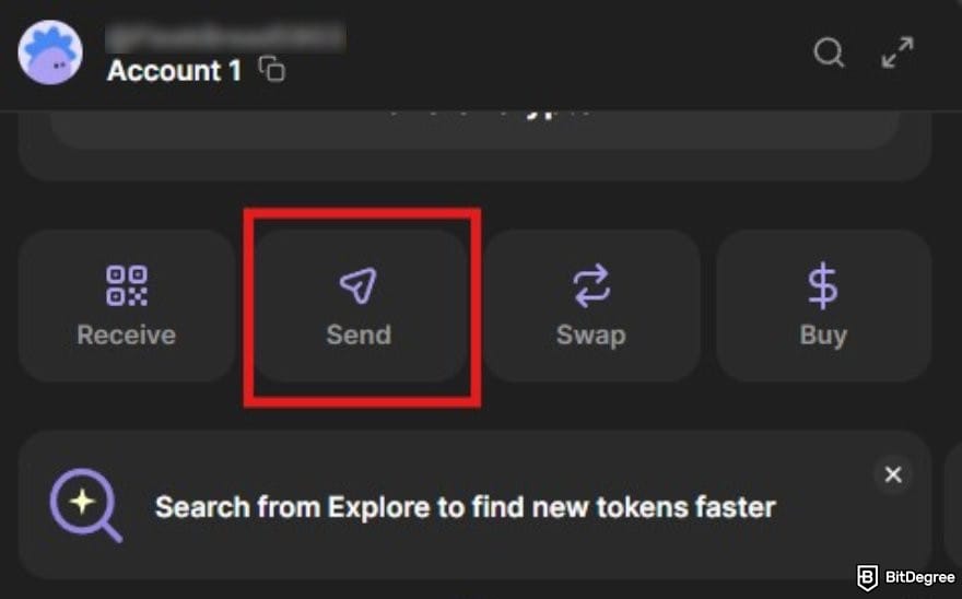 How to buy Solana meme coins: a portion of Phantom wallet interface highlighting the Send button.