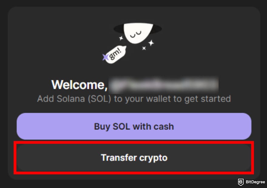 How to buy Solana meme coins: a portion of Phantom wallet interface highlighting the Transfer crypto button.
