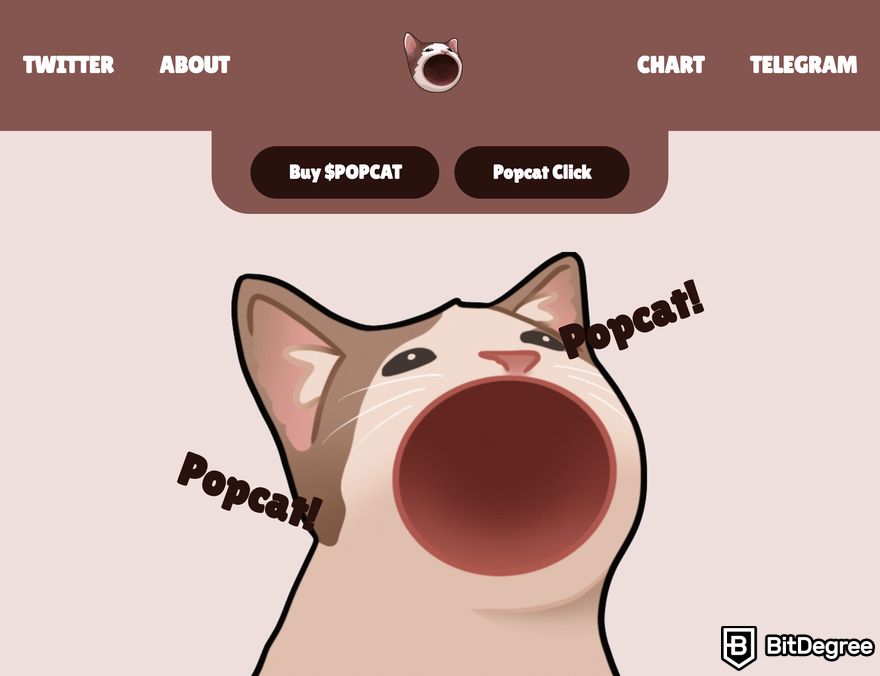 How to buy Solana meme coins: a preview of Popcat homepage.