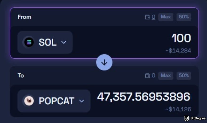 How to buy Solana meme coins: the order form on Raydium swap page.