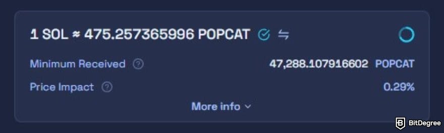 How to buy Solana meme coins: the swap details on Raydium.