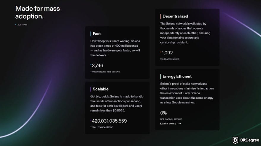 How to buy Solana meme coins: Solana statistics on its official website.