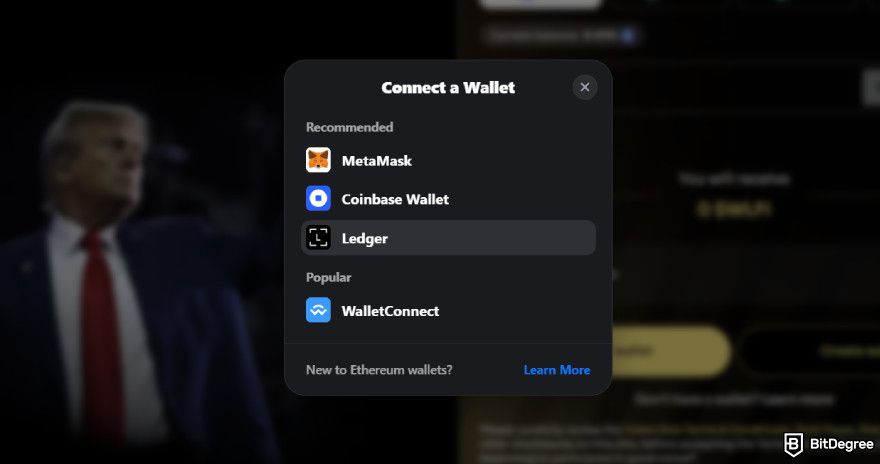 How to buy World Liberty Financial crypto: the available wallet options on the WLFI website.
