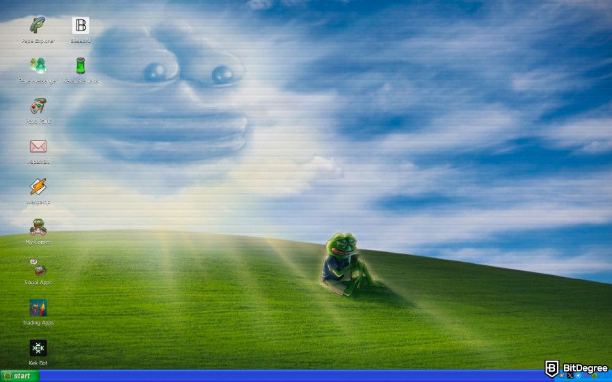 How to claim Pepe airdrop: a screenshot of the Pepe coin website.