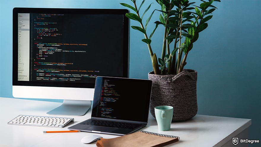 How to code for beginners: Two monitors placed on a desk with a plant and a cup beside them.