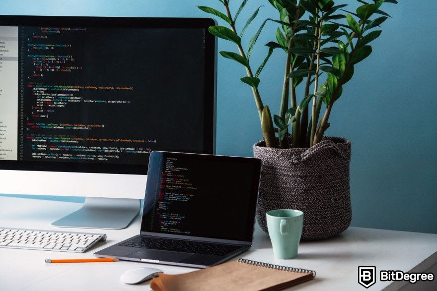 How to code for beginners: Two monitors placed on a desk with a plant and a cup beside them.