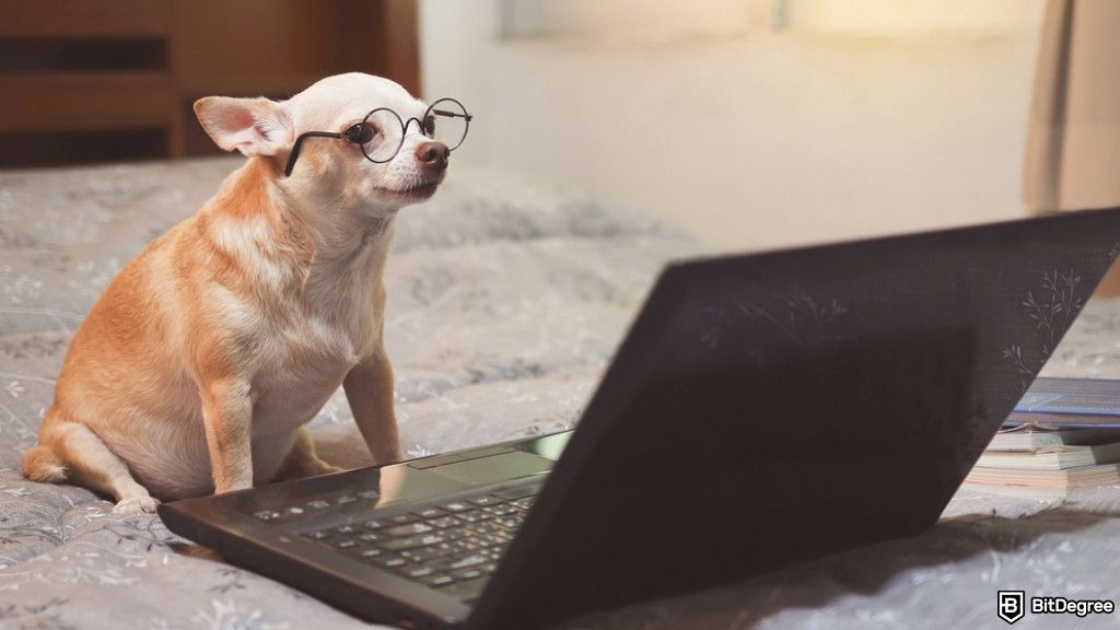 How to Create a Quiz Online for Free: A Beginner’s Guide