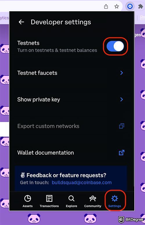 How to create a token on BSC: enable testnets.
