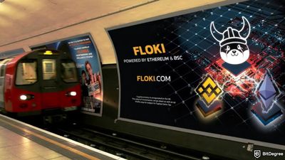 How to Get Floki Airdrop: Simple Hacks to Boost Your Chances