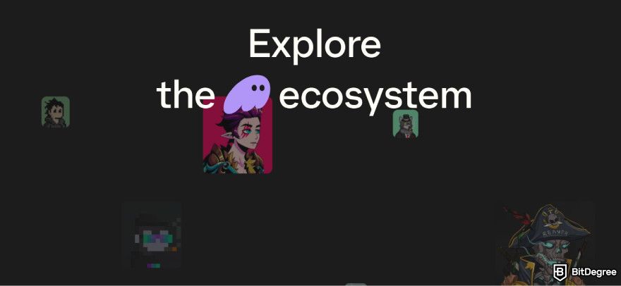 How to get Phantom airdrop: a screenshot of Phantom Wallet's ecosystem page.