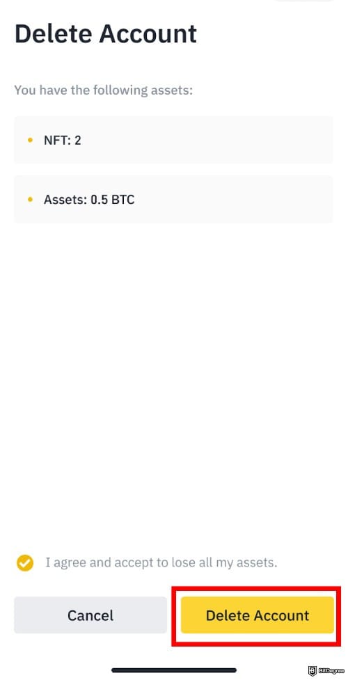 How to open Binance corporate account: the yellow [Delete Account] button on Binance mobile.