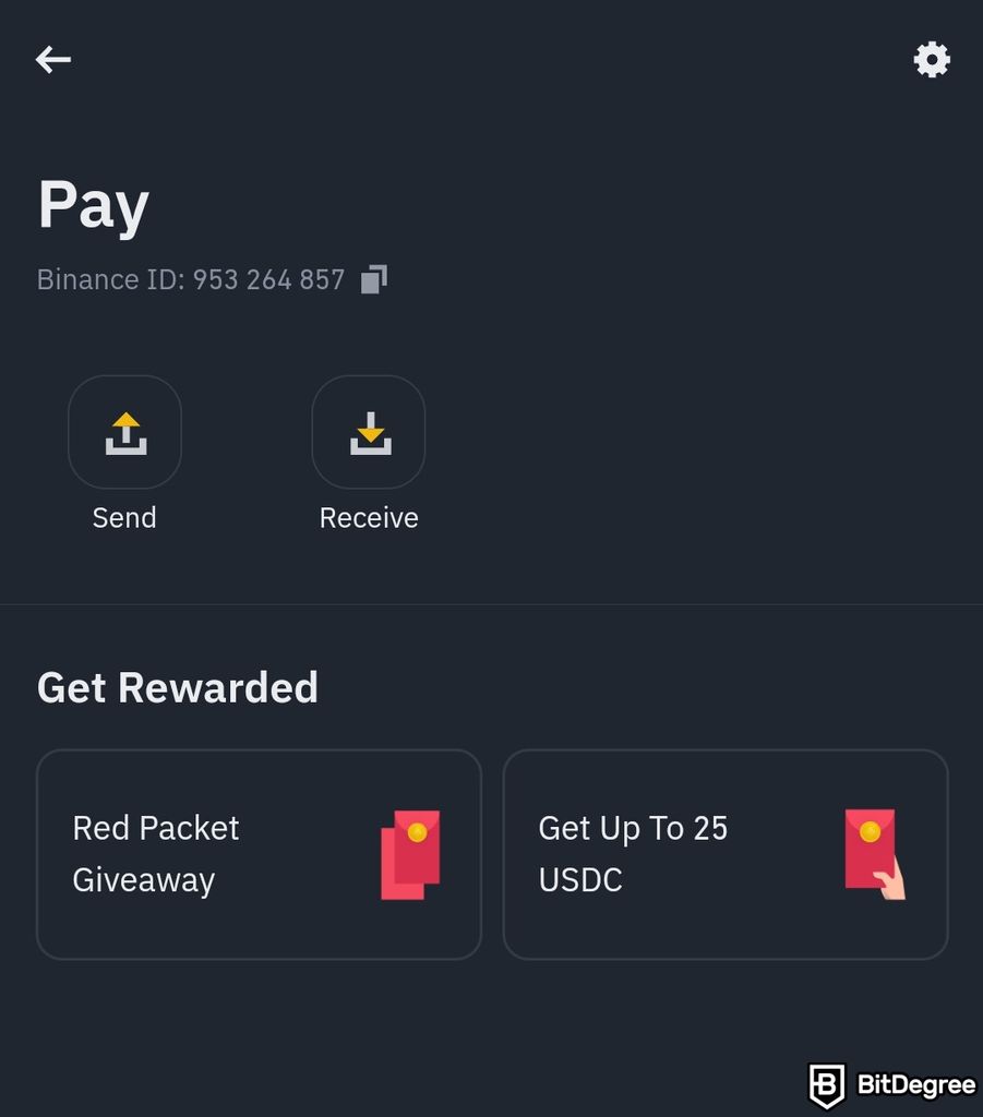 How to pay with Bitcoin: Binance app's Pay screen.