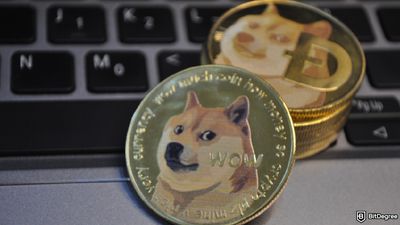 How to Pay With Dogecoin in 2025? The Ultimate Guide