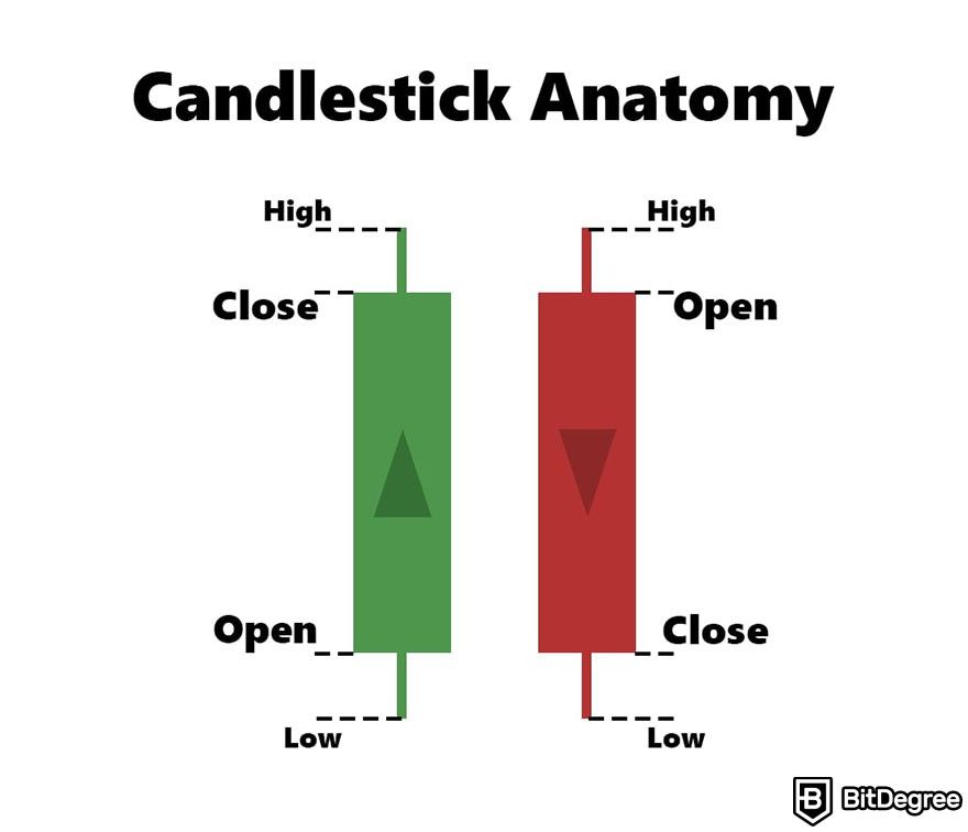 How to read candlesticks: candlestick anatomy.