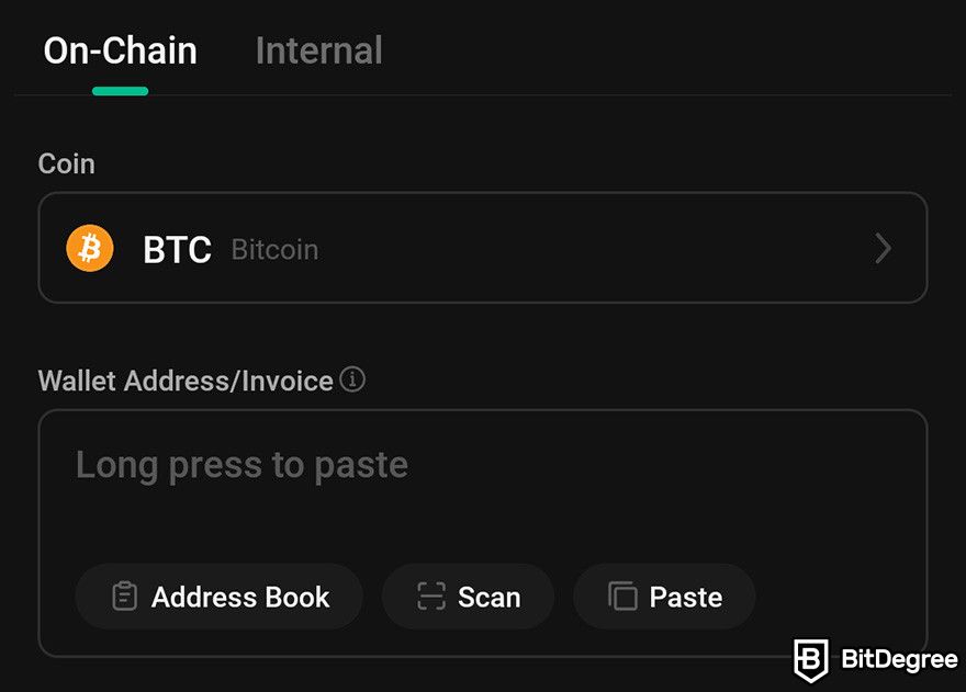 How to send Bitcoin to another wallet: the withdrawal details under the On-Chain withdrawal option.