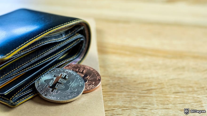 How to send money to Nigeria from USA: Bitcoins with leather wallet.