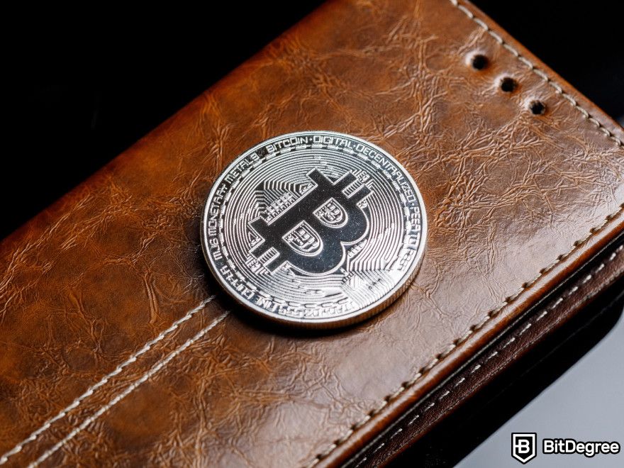 How to start a crypto business: a wallet with a Bitcoin on top of it.