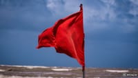How to tell if a coin is a red flag?