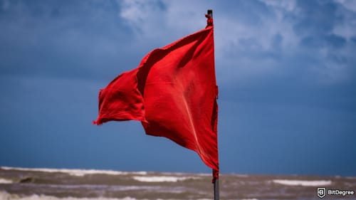 How to tell if a coin is a red flag?