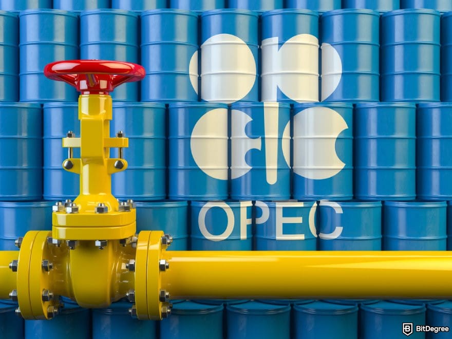 How to trade commodities: Oil pipe line valve in front of the barrels with OPEC siymbol.