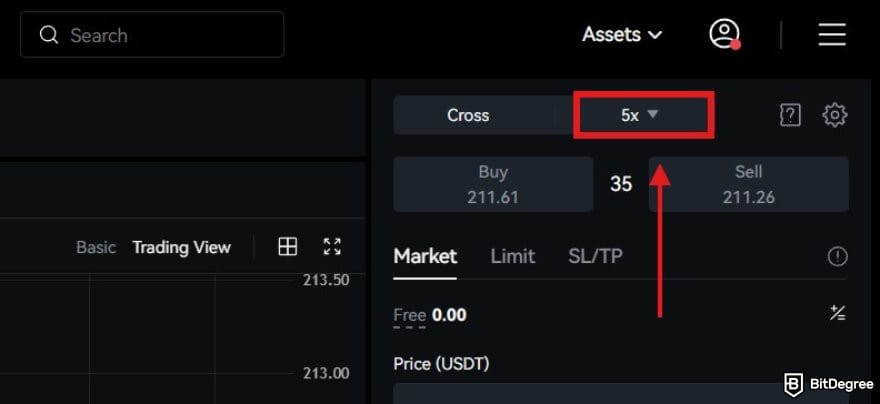 How to trade US stocks for beginners: the Leverage settings on BTCC TradFi. How to trade US stocks for beginners: the Leverage settings on BTCC TradFi.