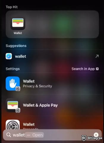 How to transfer money from Apple Pay to bank instantly: searching for Apple Wallet on iPhone.