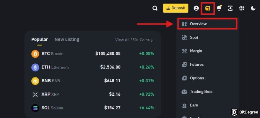 How to withdraw money from Binance: a portion of Binance homepage with the Wallet and Overview buttons highlighted.