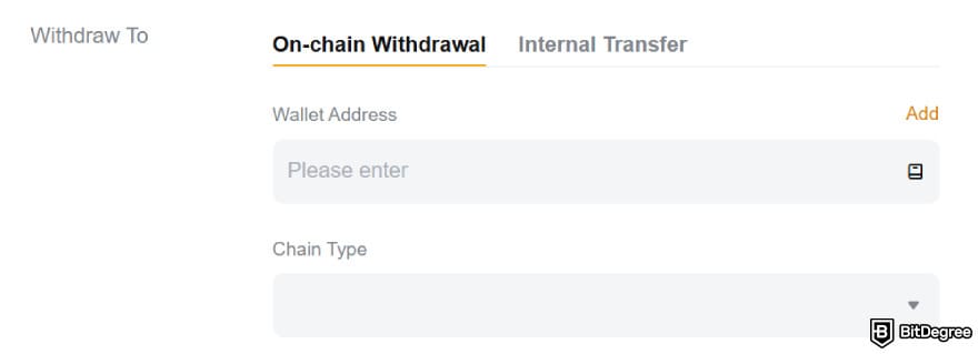 How to withdraw money from Bybit: inputting wallet address and chain type on on-chain withdrawal.