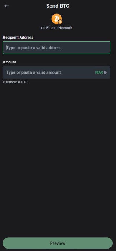 How to withdraw money from Trust Wallet: paste your Binance address.